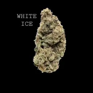 WHITE ICE - ON SALE!!!