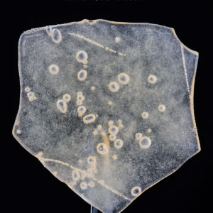 BALLER SLAB SHATTER – LEMON SOUR DIESEL (5grams)