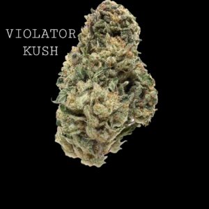 VIOLATOR KUSH - ON SALE!!!