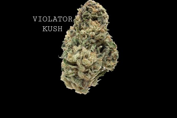 VIOLATOR KUSH - ON SALE!!!