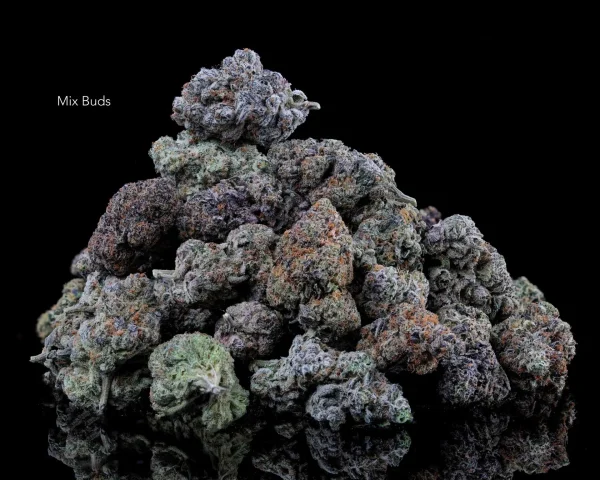 MIX BUDS