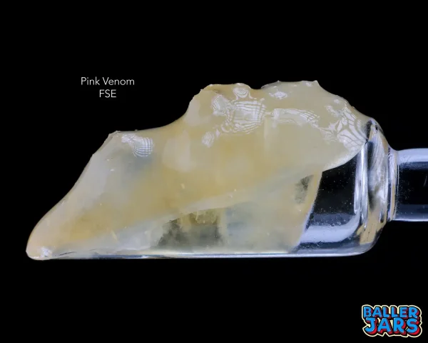 BALLER JAR FSE – PINK VENOM (5grams)