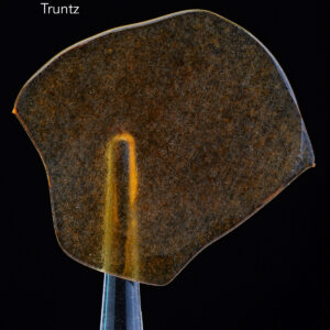BALLER SLAB SHATTER – TRUNTZ (5grams)
