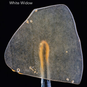 BALLER SLAB SHATTER – WHITE WIDOW (5grams)