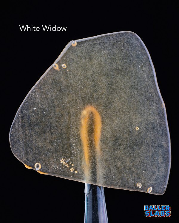 BALLER SLAB SHATTER – WHITE WIDOW (5grams)