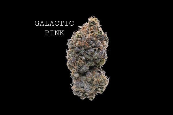 GALATIC PINK
