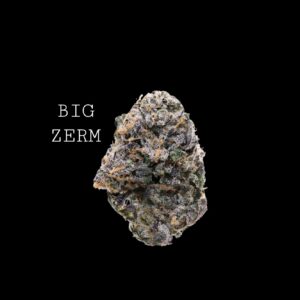BIG ZERM - ON SALE!!!