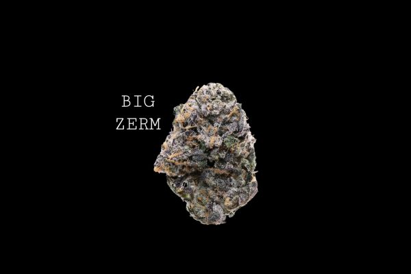 BIG ZERM - ON SALE!!!