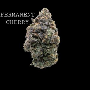 PERMANMENT CHERRY - ON SALE!!!
