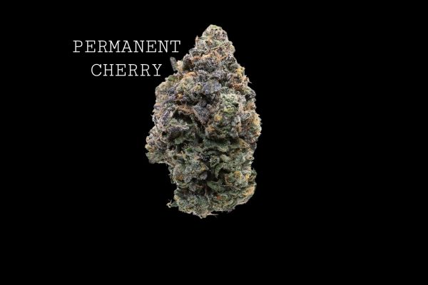 PERMANMENT CHERRY - ON SALE!!!