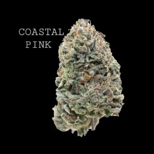 COASTAL PINK - ON SALE!!!