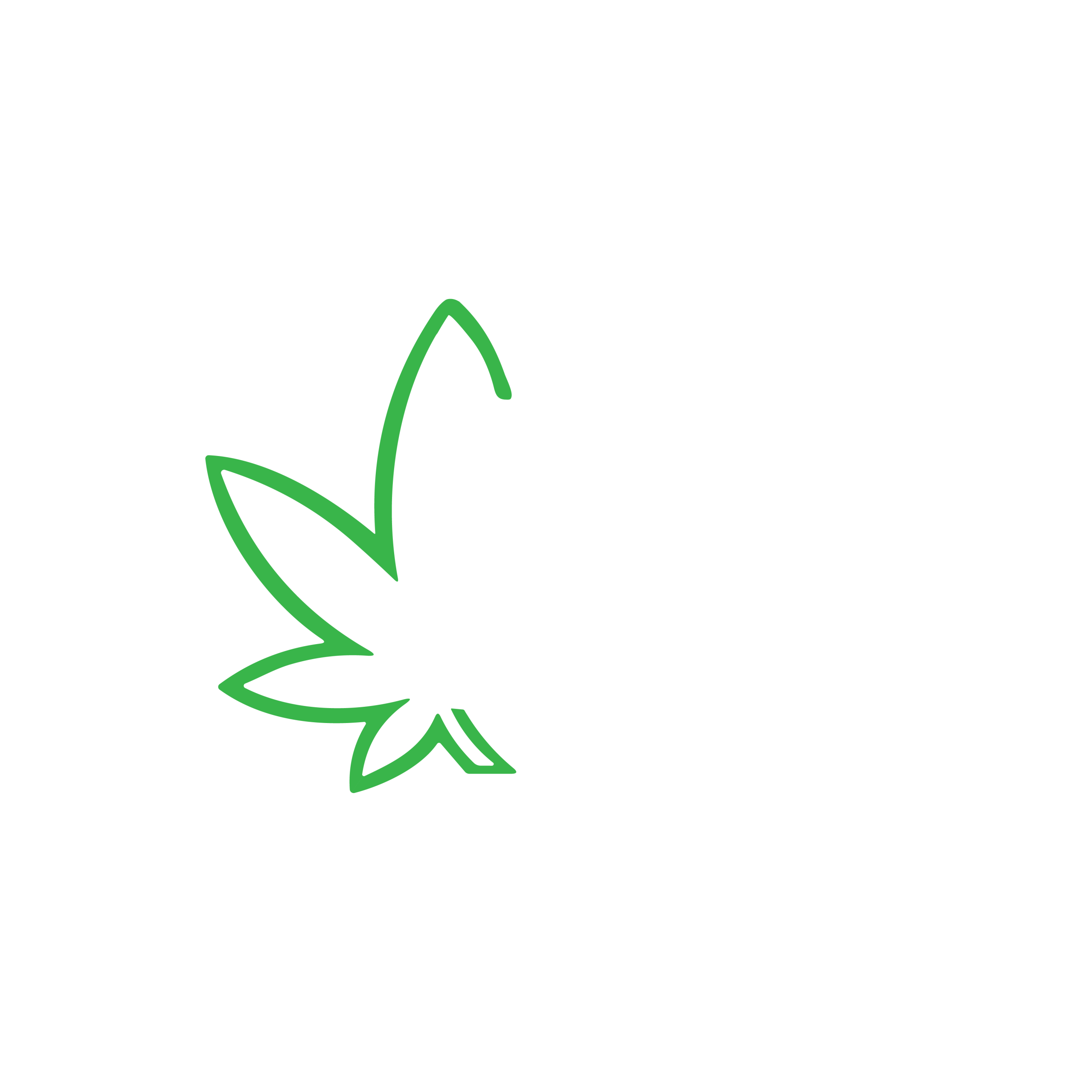 DankDash