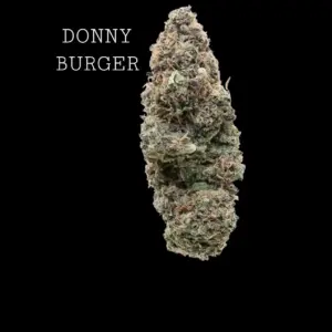 DONNY BURGER - ON SALE!!!