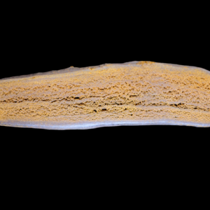 SOFT MOROCCAN CREAM HASH