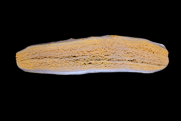 SOFT MOROCCAN CREAM HASH