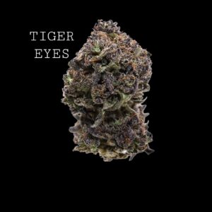 TIGER EYES - ON SALE!!!