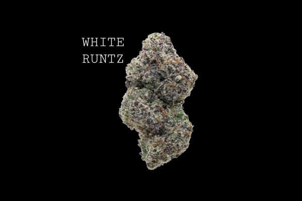 WHITE RUNTZ - ON SALE!!!