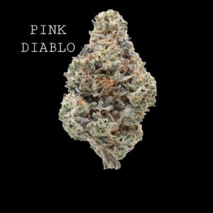 PINK DIABLO