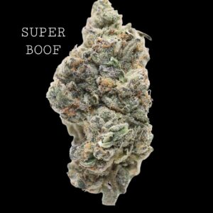 SUPER BOOF - ON SALE!!!