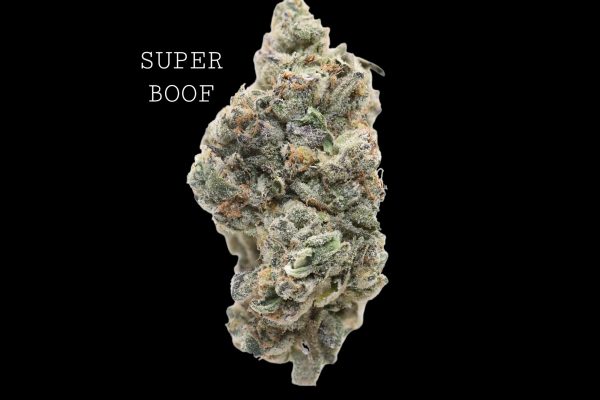 SUPER BOOF - ON SALE!!!