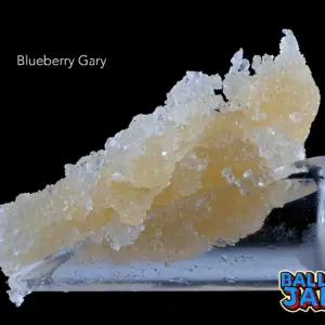 BALLER JAR FSE – BLUEBERRY GARY (5grams)