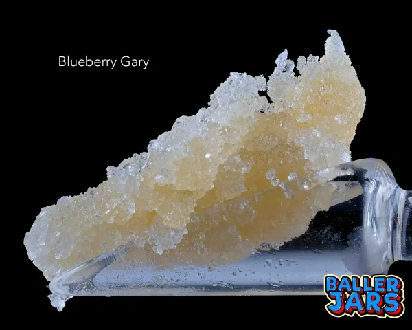 BALLER JAR FSE – BLUEBERRY GARY (5grams)