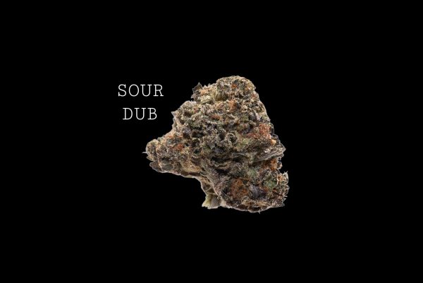 SOUR DUB