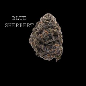 BLUE SHERBERT