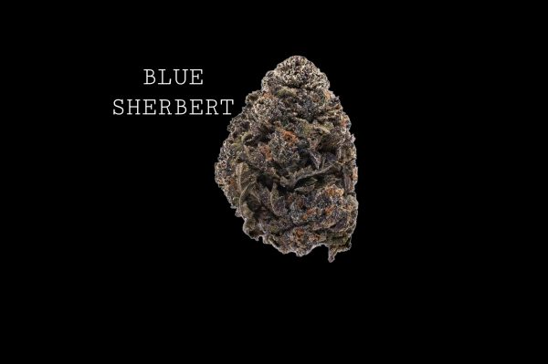 BLUE SHERBERT