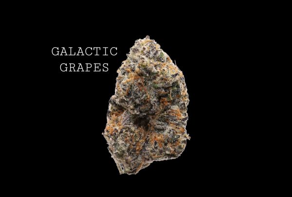 GALACTIC GRAPES - ON SALE!!!