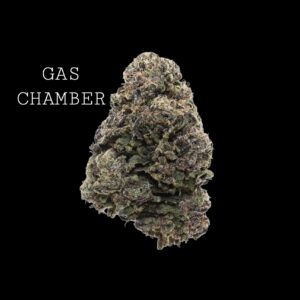 GAS CHAMBER - ON SALE!!!
