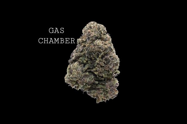 GAS CHAMBER - ON SALE!!!