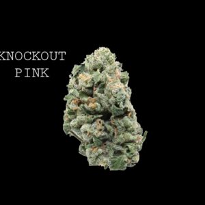 KNOCKOUT PINK