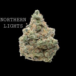 NORTHERN LIGHTS