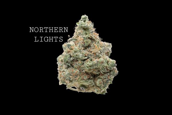 NORTHERN LIGHTS