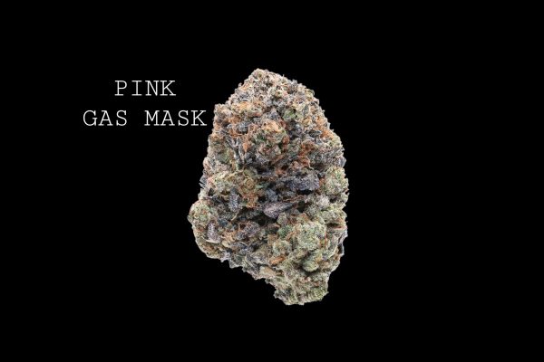 PINK GAS MASK