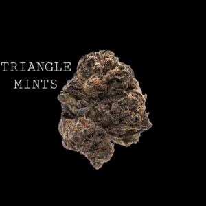 TRIANGLE MINTS - ON SALE!!!