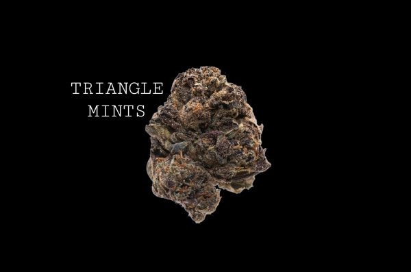 TRIANGLE MINTS - ON SALE!!!