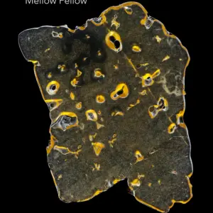 BALLER SLAB SHATTER – MELLOW FELLOW (5grams)