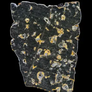 BALLER SLAB SHATTER – THAI-GER KING (5grams)