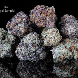 THE ROYAL SAMPLER *NEW BATCH