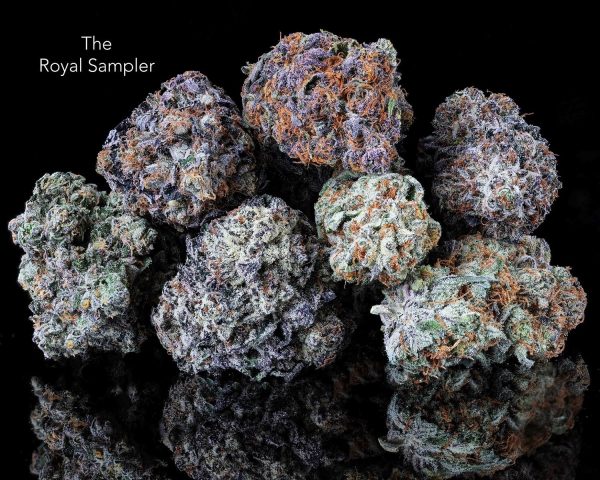 THE ROYAL SAMPLER *NEW BATCH