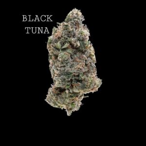 BLACK TUNA