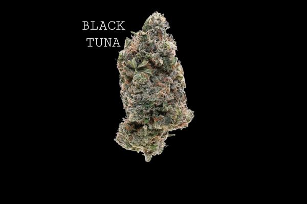 BLACK TUNA