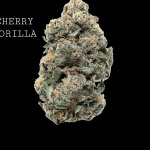 CHERRY GORILLA