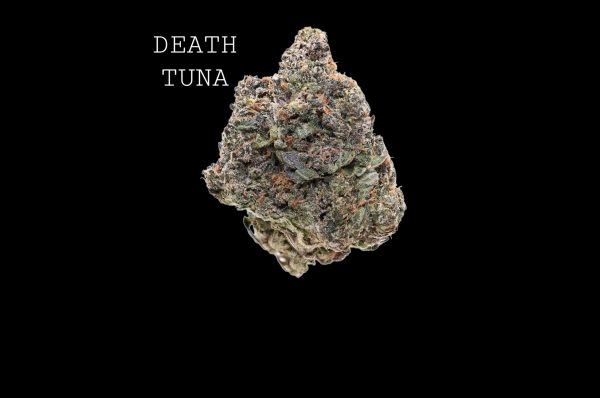 DEATH TUNA