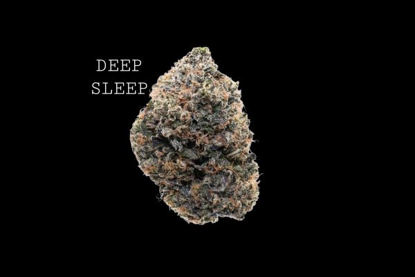 DEEP SLEEP - ON SALE!!!