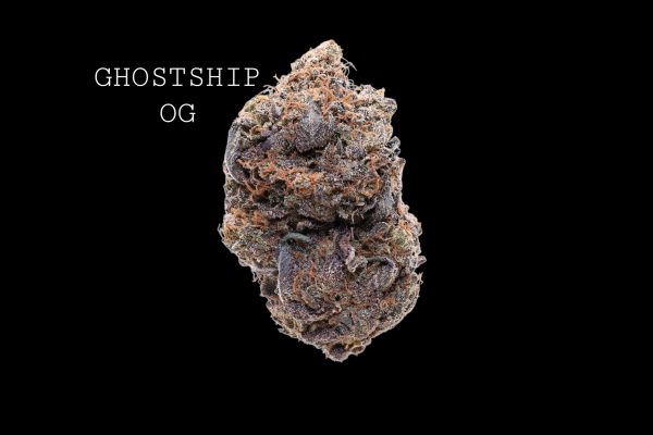 GHOSTSHIP OG - ON SALE!!!