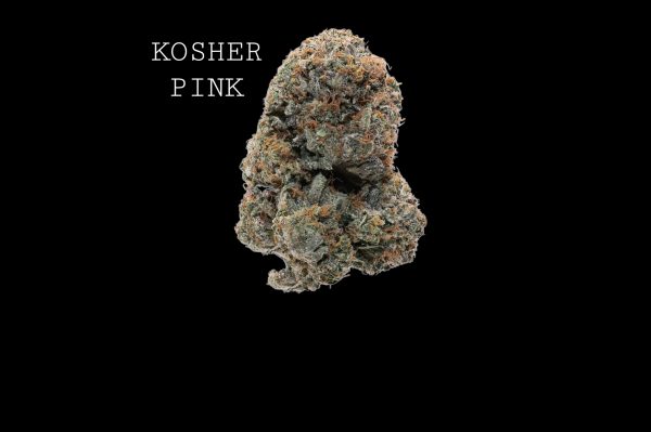 KOSHER PINK