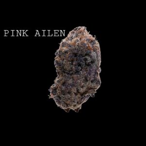 PINK ALIEN - ON SALE!!!